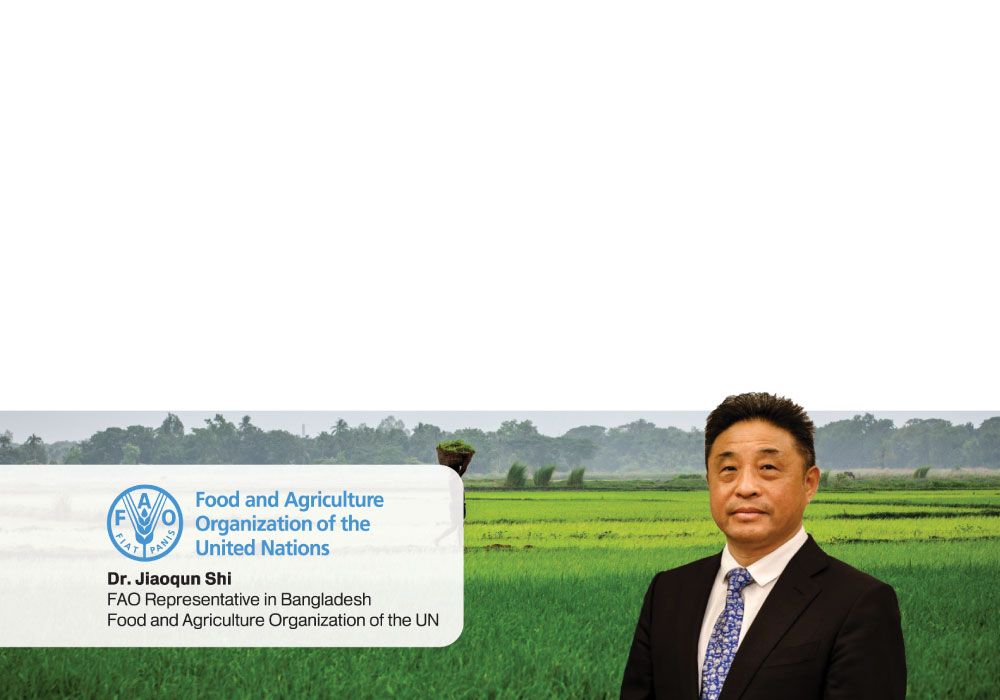 AGRICULTURAL TRANSFORMATION IN BANGLADESH: FAO'S ROLE IN PROMOTING SUSTAINABLE AND RESPONSIBLE INVESTMENTS